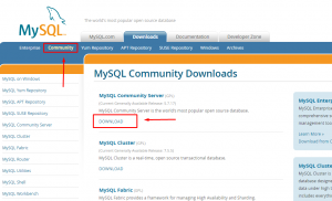 download mysql