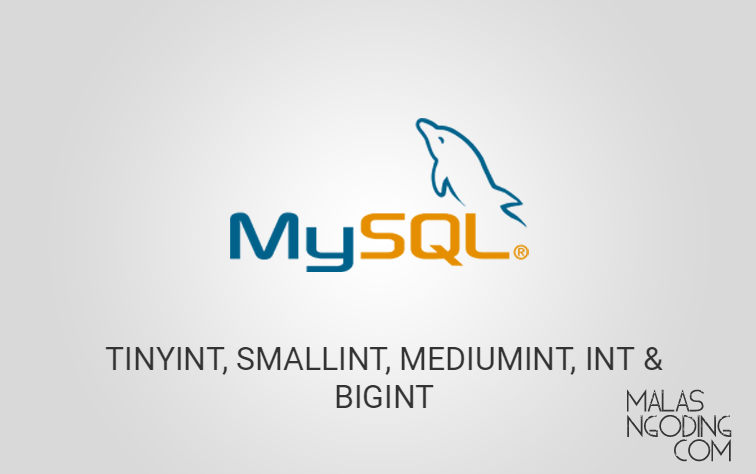 Tutorial MySQL Tipe Data Integer MySQL