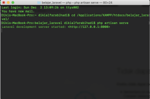 menjalankan laravel dari php artisan