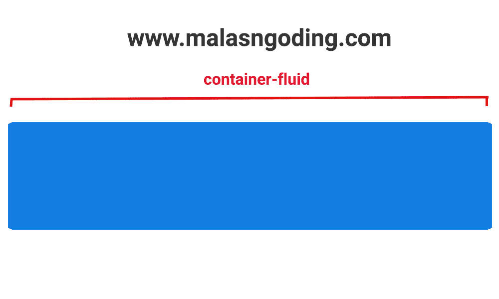 container-fluid