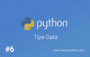 tipe data python